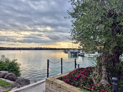 IMG_3117.jpeg IMG_3117.jpeg