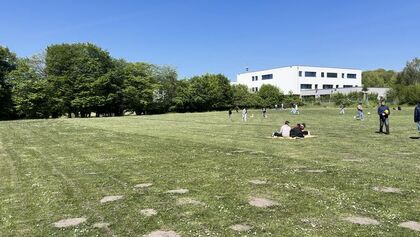 IMG_5142_still.jpeg