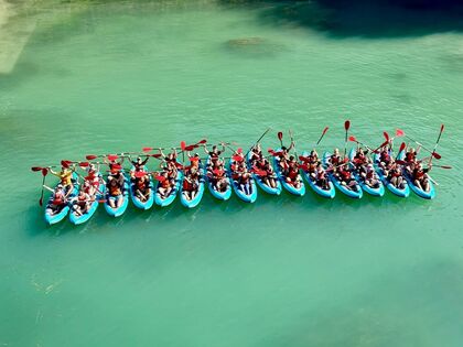 IMG_3118.jpeg IMG_3118.jpeg