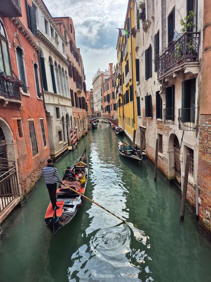 IMG_3114.jpeg IMG_3114.jpeg