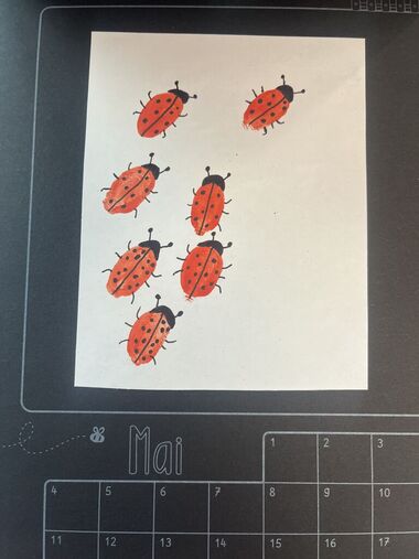 IMG_6858.jpeg IMG_6858.jpeg