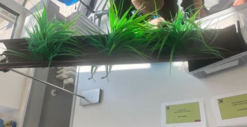 Greenlab_3.jpg